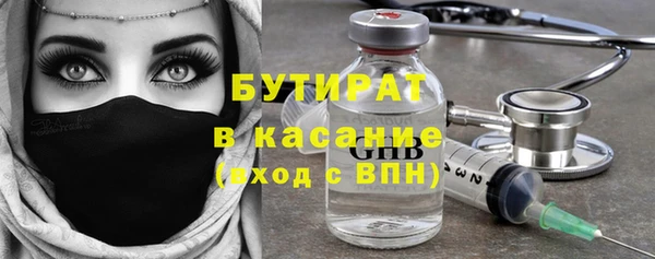индика Вязьма
