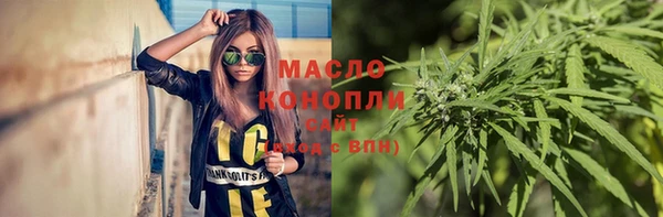 индика Вязьма
