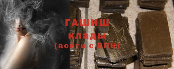 индика Вязьма