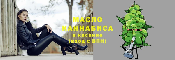 индика Вязьма
