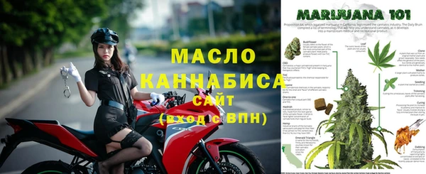 индика Вязьма