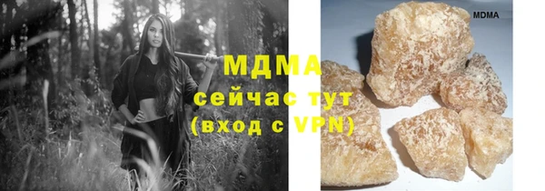индика Вязьма